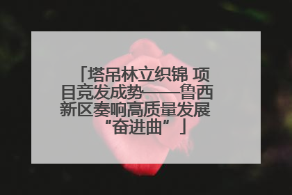 塔吊林立织锦 项目竞发成势——鲁西新区奏响高质量发展“奋进曲”
