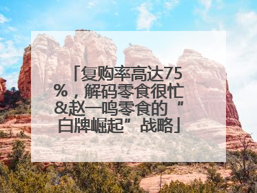 复购率高达75%，解码零食很忙&赵一鸣零食的“白牌崛起”战略