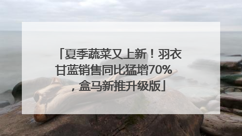 夏季蔬菜又上新！羽衣甘蓝销售同比猛增70%，盒马新推升级版