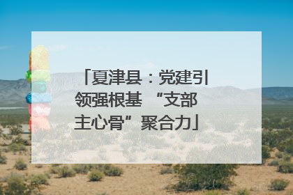 夏津县：党建引领强根基 “支部主心骨”聚合力