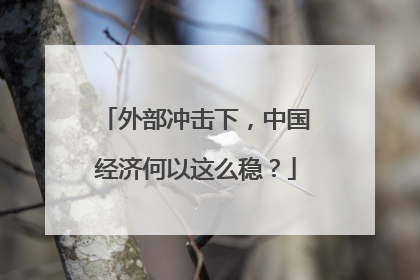 外部冲击下，中国经济何以这么稳？
