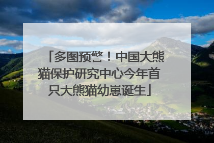 多图预警！中国大熊猫保护研究中心今年首只大熊猫幼崽诞生