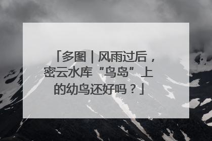 多图｜风雨过后，密云水库“鸟岛”上的幼鸟还好吗？