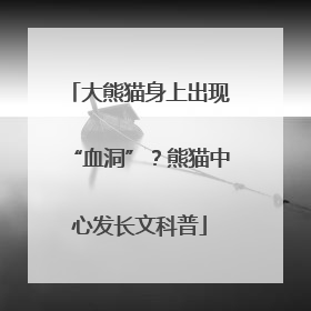 大熊猫身上出现“血洞”？熊猫中心发长文科普