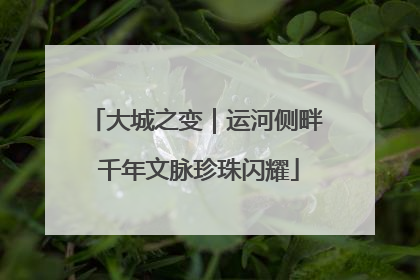 大城之变｜运河侧畔 千年文脉珍珠闪耀