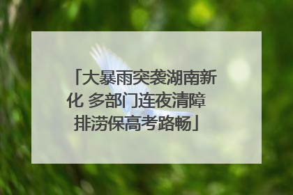 大暴雨突袭湖南新化 多部门连夜清障排涝保高考路畅