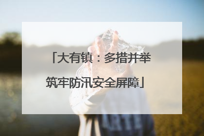 大有镇：多措并举筑牢防汛安全屏障