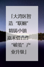 大湾区智造“联姻”精铸小镇 嘉禾借合作“破茧”产业升级