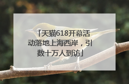 天猫618开幕活动落地上海西岸，引数十万人到访