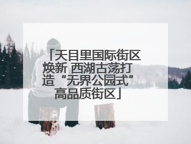 天目里国际街区焕新 西湖古荡打造“无界公园式”高品质街区