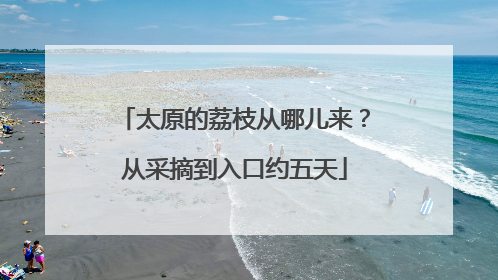 太原的荔枝从哪儿来？从采摘到入口约五天