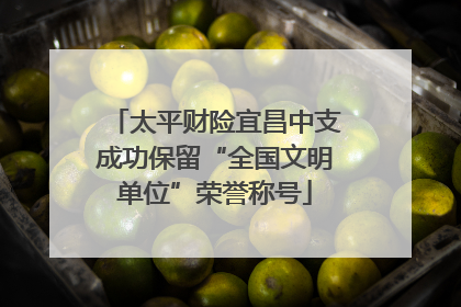 太平财险宜昌中支成功保留“全国文明单位”荣誉称号