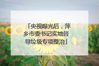 央视曝光后，萍乡市委书记实地督导垃圾专项整治
