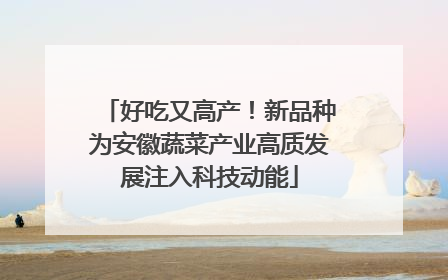好吃又高产！新品种为安徽蔬菜产业高质发展注入科技动能