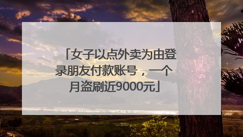 女子以点外卖为由登录朋友付款账号，一个月盗刷近9000元