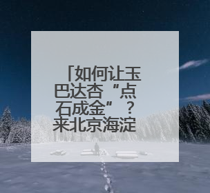 如何让玉巴达杏“点石成金”？来北京海淀苏家坨这场文化沙龙