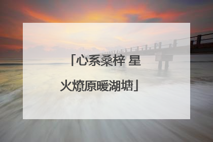心系桑梓 星火燎原暖湖塘