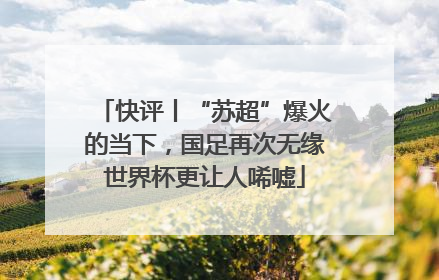 快评丨“苏超”爆火的当下，国足再次无缘世界杯更让人唏嘘