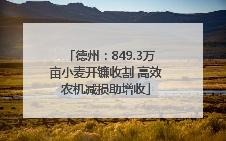 德州：849.3万亩小麦开镰收割 高效农机减损助增收