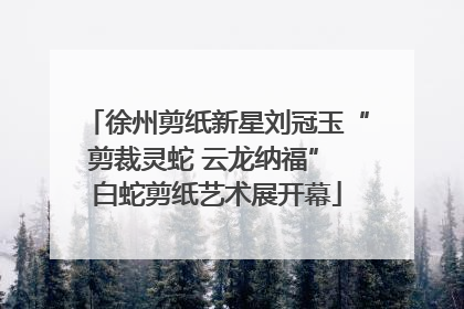 徐州剪纸新星刘冠玉“剪裁灵蛇 云龙纳福” 白蛇剪纸艺术展开幕