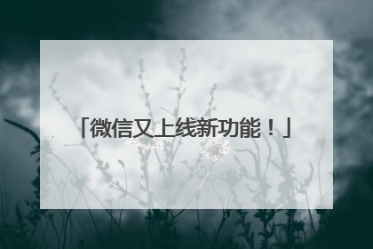 微信又上线新功能！