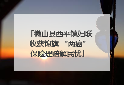 微山县西平镇妇联收获锦旗 “两癌”保险理赔解民忧