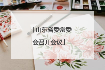 山东省委常委会召开会议