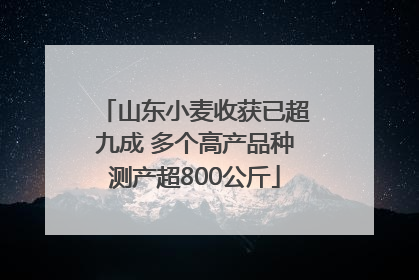 山东小麦收获已超九成 多个高产品种测产超800公斤