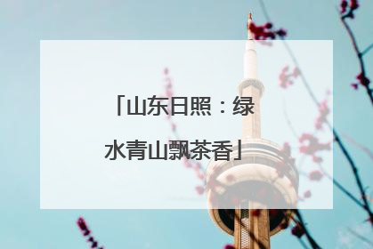 山东日照：绿水青山飘茶香