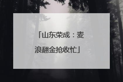 山东荣成：麦浪翻金抢收忙