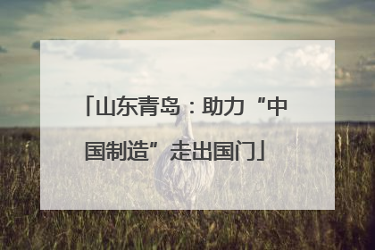 山东青岛：助力“中国制造”走出国门