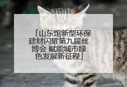 山东馆新型环保建材闪耀第九届丝博会 赋能城市绿色发展新征程