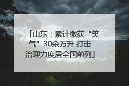 山东：累计缴获“笑气”30余万升 打击治理力度居全国前列