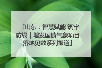 山东：智慧赋能 筑牢防线｜增发国债气象项目落地见效系列报道