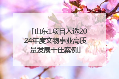 山东1项目入选2024年度文物事业高质量发展十佳案例