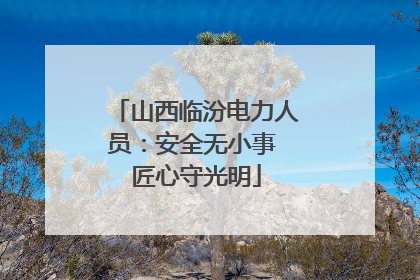 山西临汾电力人员：安全无小事 匠心守光明