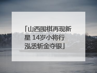 山西围棋再现新星 14岁小将行泓丞斩金夺银