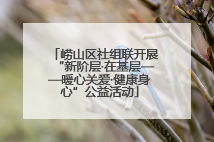 崂山区社组联开展“新阶层·在基层——暖心关爱·健康身心”公益活动