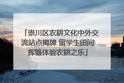 崇川区农耕文化中外交流站点揭牌 留学生田间挥镰体验农耕之乐