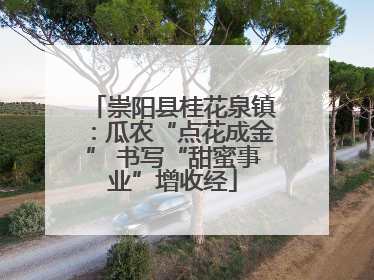 崇阳县桂花泉镇：瓜农“点花成金” 书写“甜蜜事业”增收经