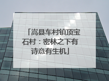 嵩县车村镇顶宝石村：密林之下有诗意有生机