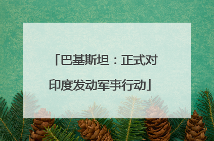 巴基斯坦：正式对印度发动军事行动