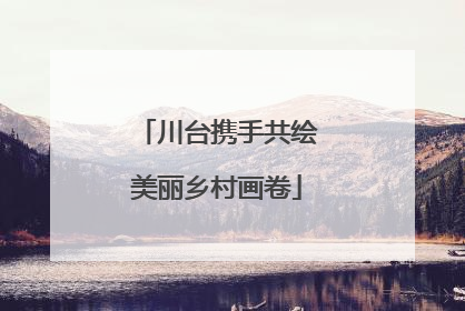 川台携手共绘美丽乡村画卷