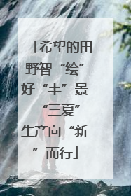 希望的田野智“绘”好“丰”景 “三夏”生产向“新”而行