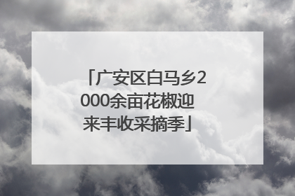 广安区白马乡2000余亩花椒迎来丰收采摘季