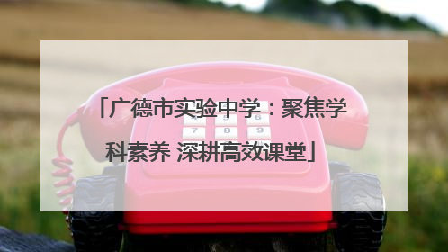 广德市实验中学：聚焦学科素养 深耕高效课堂
