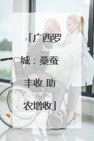 广西罗城：桑蚕丰收 助农增收