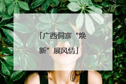 广西侗寨“焕新”展风情