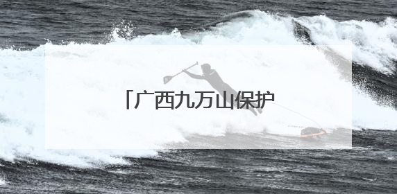 广西九万山保护区同时记录金斑喙凤蝶雌雄个体