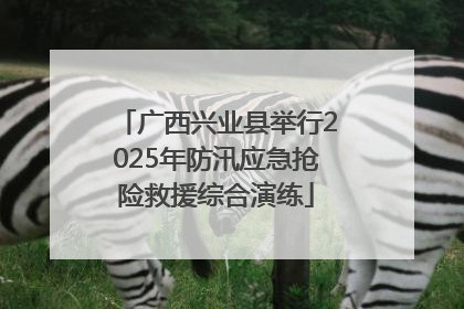 广西兴业县举行2025年防汛应急抢险救援综合演练
